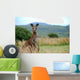 Wild kangaroo in outback Wall Mural