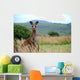 Wild kangaroo in outback Wall Mural