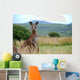 Wild kangaroo in outback Wall Mural
