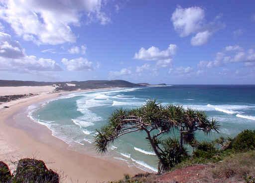 Beach from Australia Wall Decal