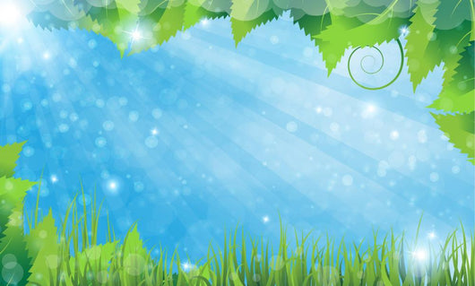 Summer Landscape
