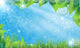 Summer Landscape