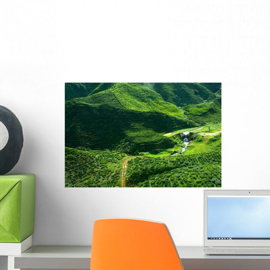 Tea Plantation Malaysia Wall Decal