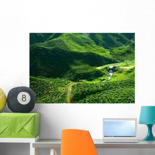 Tea Plantation Malaysia Wall Decal