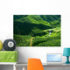 Tea Plantation Malaysia Wall Decal