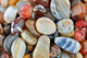 Natural Agate Various Types