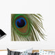 Peacock Eye Feather Wall Mural