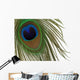 Peacock Eye Feather Wall Mural