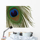 Peacock Eye Feather Wall Mural