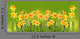 Bright yellow daffodils on a green background. Wall Mural