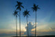 Sunrise Kuantan Wall Decal