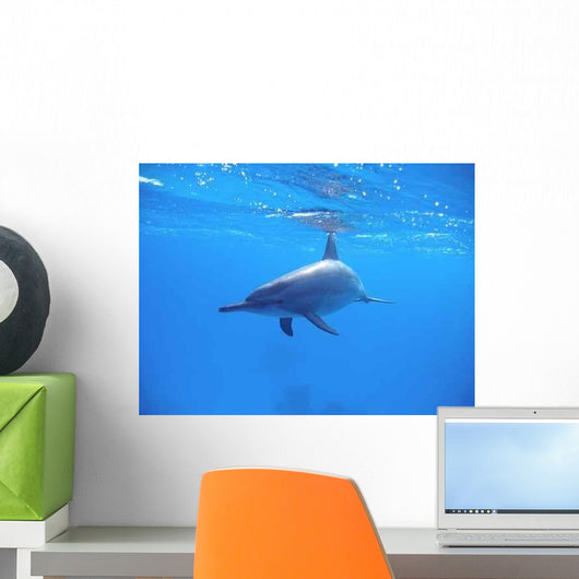 Delphine Wall Decal