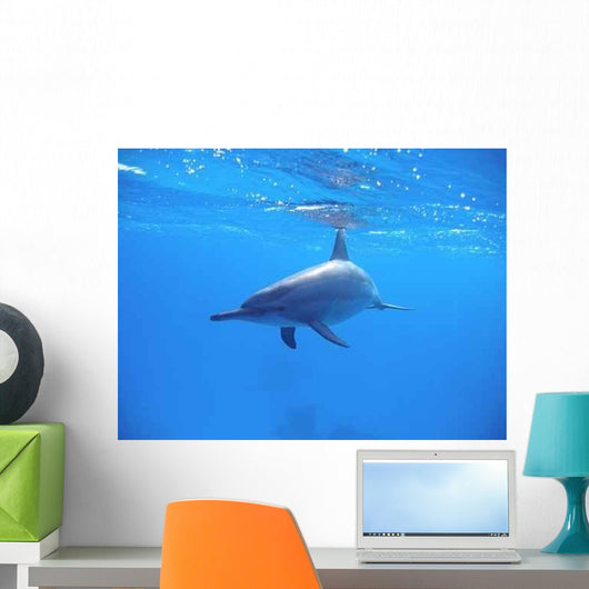 Delphine Wall Decal