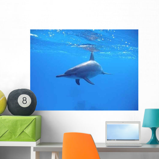Delphine Wall Decal