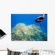 Diver over Coral Reef Wall Decal