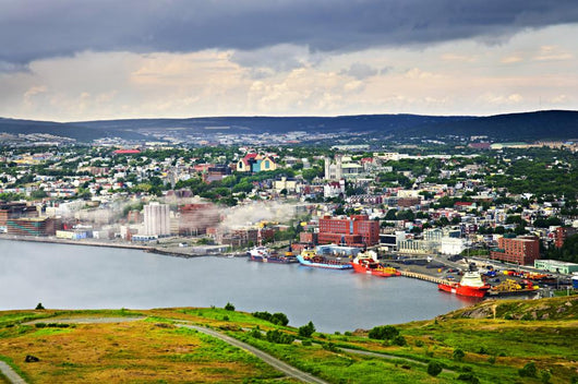 Cityscape of Saint John's from Signal Hill Wall Mural