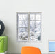 Winter through Window