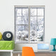 Winter through Window