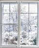 Winter through Window