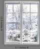 Winter through Window