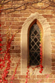 Church Window
