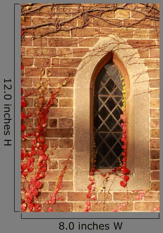 Church Window