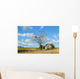 Tranquil Rural Landscape