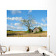 Tranquil Rural Landscape