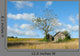 Tranquil Rural Landscape