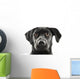 Black Lab Face Wall Decal