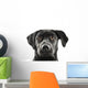 Black Lab Face Wall Decal