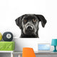 Black Lab Face Wall Decal