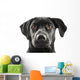 Black Lab Face Wall Decal