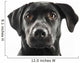 Black Lab Face Wall Decal