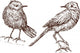 Birds Wall Decal