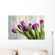 Purple Tulips by an Old Barn Wall Mural