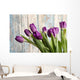 Purple Tulips by an Old Barn Wall Mural