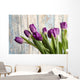 Purple Tulips by an Old Barn Wall Mural
