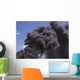 Rising Smoke from a Fire Wall Decal