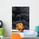 Fire and Thick Black Smoke Wall Decal