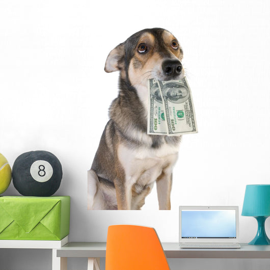 Dog with money Wall Decal