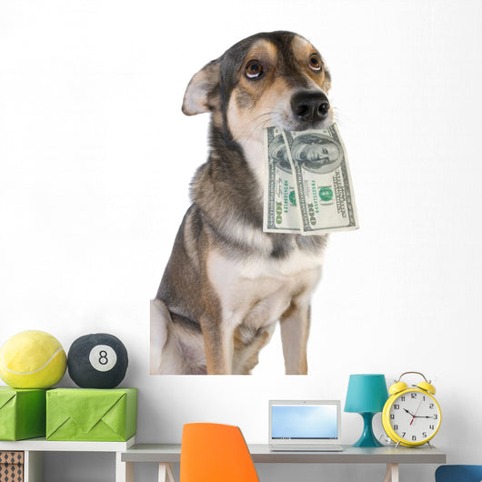 Dog with money Wall Decal