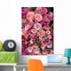 Purple and Pink Roses Wedding Arrangement Wall Mural