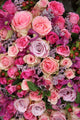 Purple and Pink Roses Wedding Arrangement Wall Mural