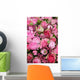 Mixed pink flower arrangement Wall Mural