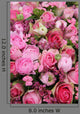 Mixed pink flower arrangement Wall Mural