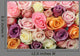 Mixed Pastel Roses