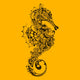 Seahorse