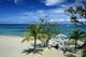Jamaica Wall Decal