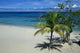 Jamaica Wall Mural